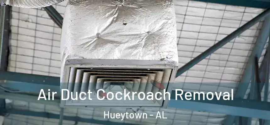  Air Duct Cockroach Removal Hueytown - AL