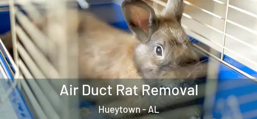  Air Duct Rat Removal Hueytown - AL