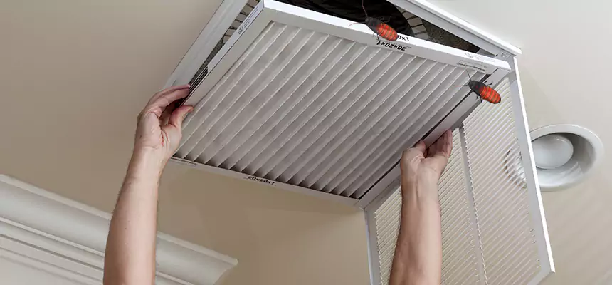Preventive Cockroach-Proofing for Ducts in Hueytown