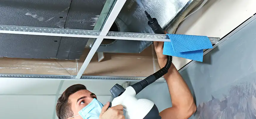 Our Air Duct Rodent Removal Services in Hueytown, AL