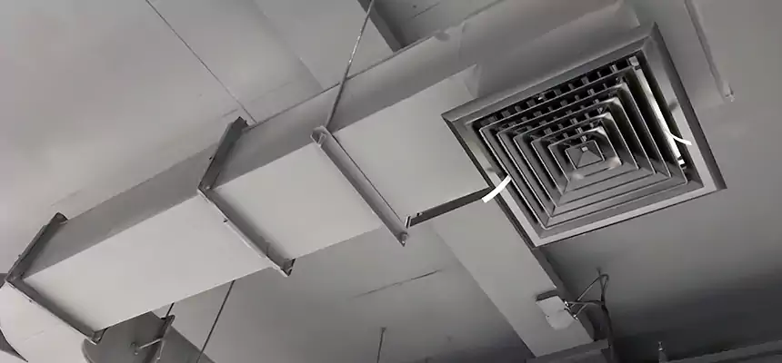 Restorative Allergy Relief Vent Cleaning – Coil, Blower & Housing Detail in Hueytown