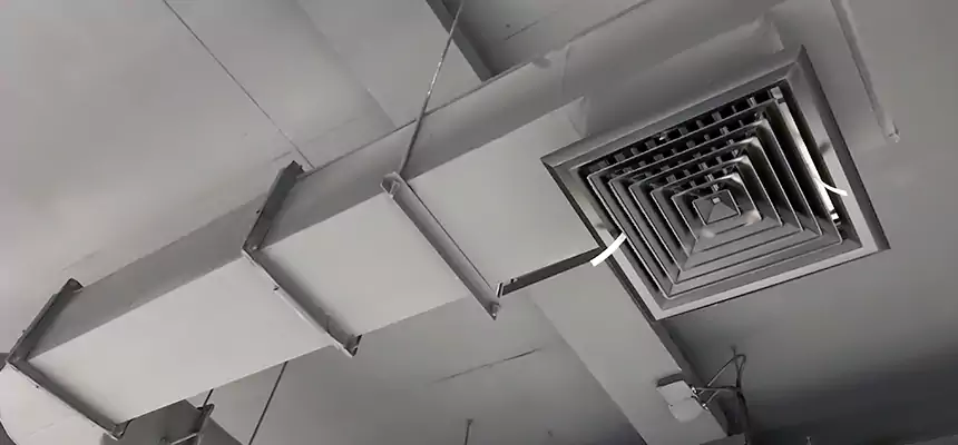 Our Pest Removal From Ducts Services in Hueytown, AL