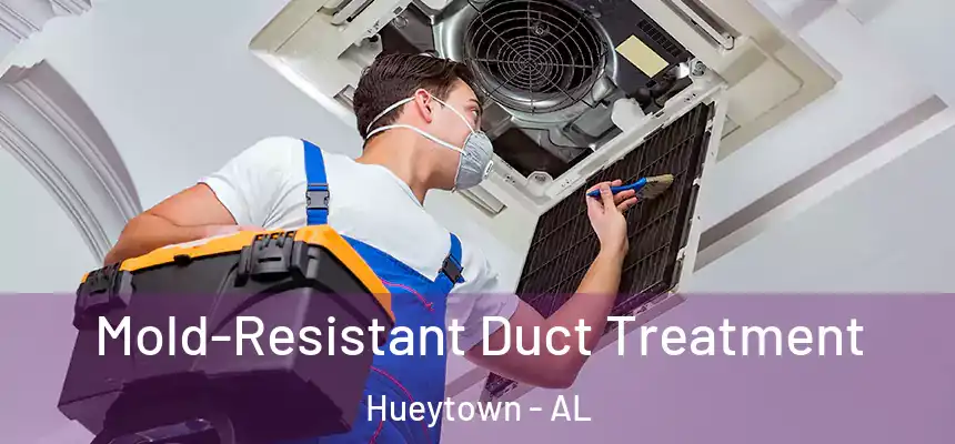  Mold-Resistant Duct Treatment Hueytown - AL