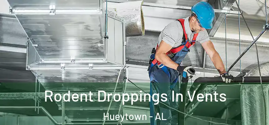  Rodent Droppings In Vents Hueytown - AL