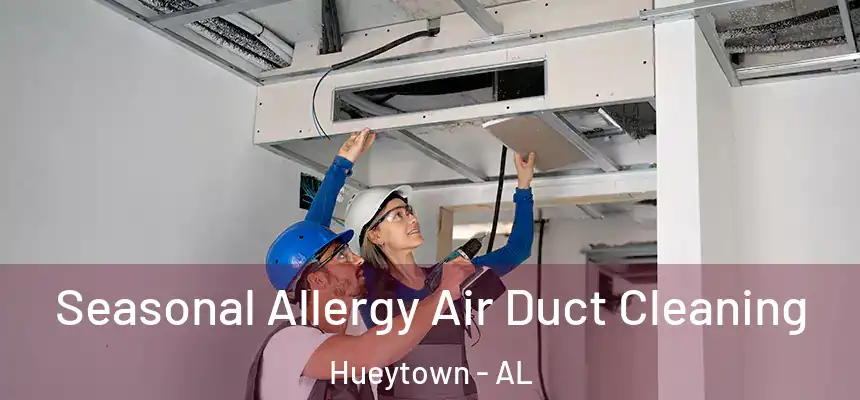  Seasonal Allergy Air Duct Cleaning Hueytown - AL