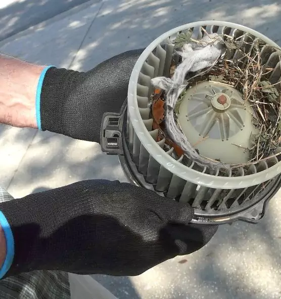 About Air Duct Mice Removal in Hueytown, AL