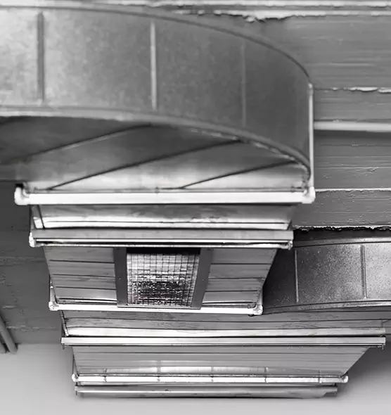 Professional Air Duct Pest Removal in Hueytown, AL