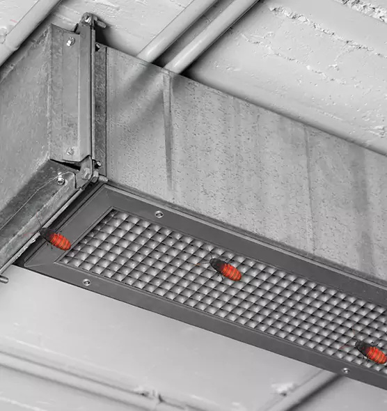 Affordable Insect Removal from Air Ducts in Hueytown, AL